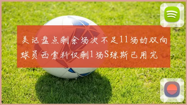 美记盘点剩余场次不足11场的双向球员西索科仅剩1场S琼斯已用完